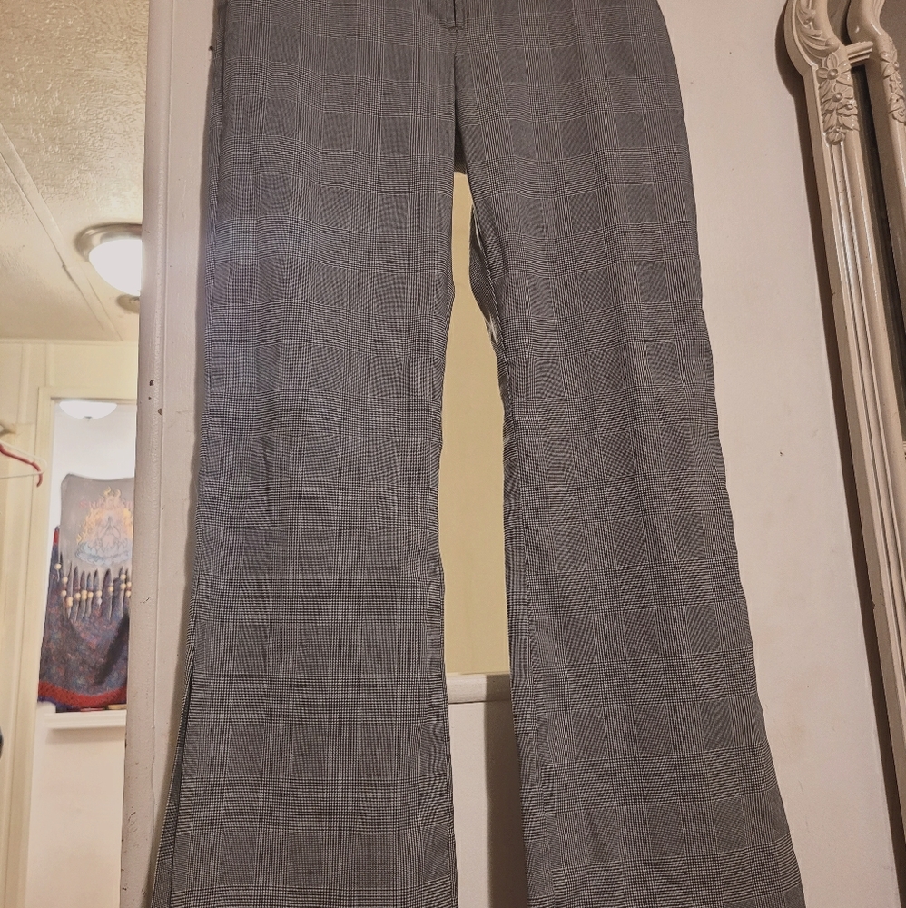 Dolce slacks